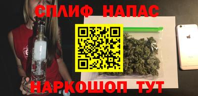 дмт Ставрополь